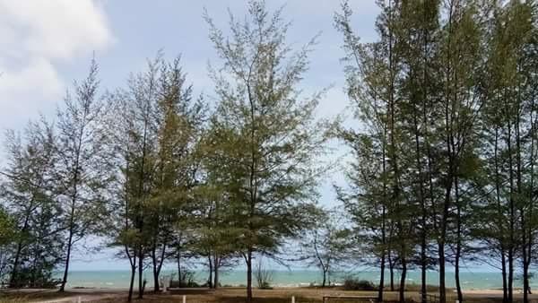 Paka Tamim Seaview Hotel Kültér fotó